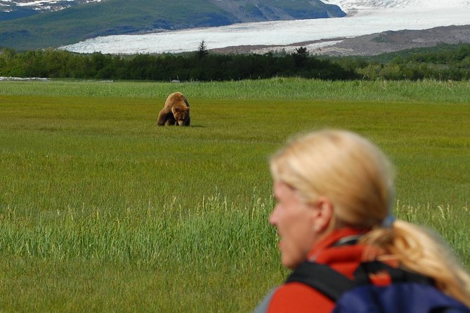 Alaska Bear-Viewing Day Trip From Homer - Contact Information
