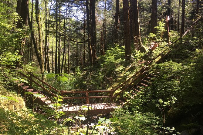 Alaska Bigfoot Adventures - Discovering Bigfoot Sightings