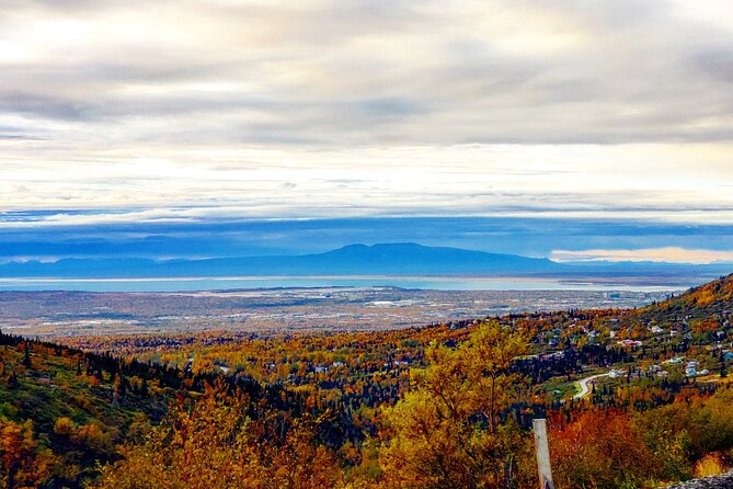 Alaska Botanical Garden & City View Tour - Attractions Included