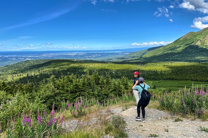 Alaska Botanical Garden & City View Tour - About the Tour