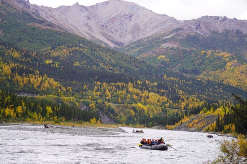 Alaska: Denali National Park Class I-II Rafting Tour - Rafting Options