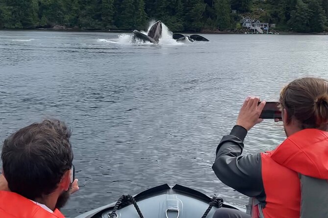 Alaska Marine Fast Boat Adventure - Additional Information