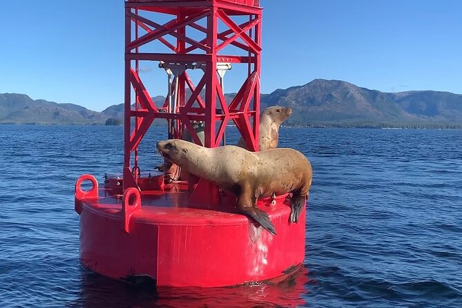 Alaska Marine Fast Boat Adventure - Cancellation Policy
