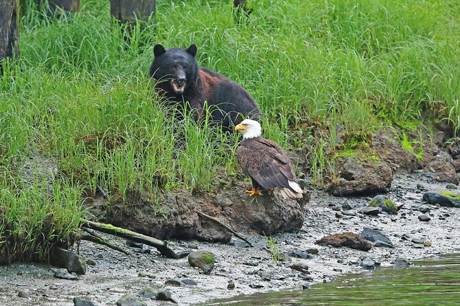 Alaska Native Cultural Immersion Experience and Ketchikan Tour - Activity Duration and Capacity