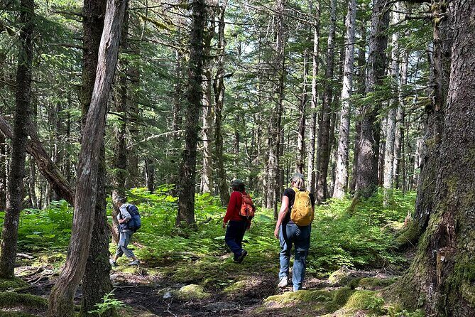 Alaska Nature Immersion: Forest Therapy Tour in Haines, Alaska - What Reviewers Say