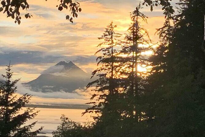 Alaska Nature Immersion: Forest Therapy Tour in Haines, Alaska - Why Choose This Tour?