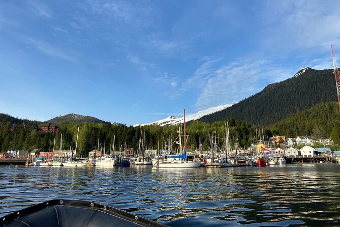 Alaska Ocean Wilderness Expedition - Marine Wildlife Encounters