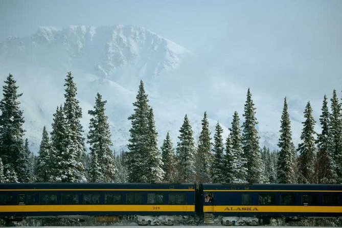 Alaska Railroad Anchorage to Denali One Way - Scenic Journey