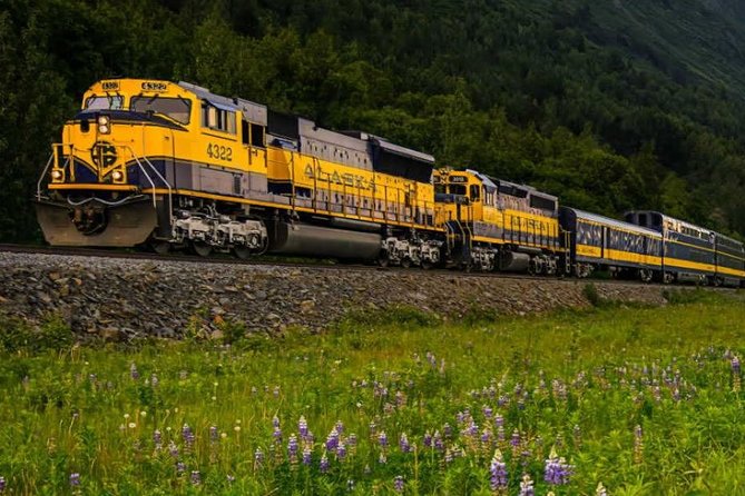 Alaska Railroad Anchorage to Denali One Way - Comfortable Seating
