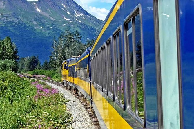 Alaska Railroad Anchorage to Seward One Way - Cancellation and Reviews