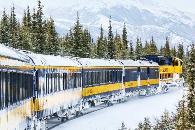 Alaska Railroad Aurora Winter Anchorage to Fairbanks One Way - Transportation Accessibility