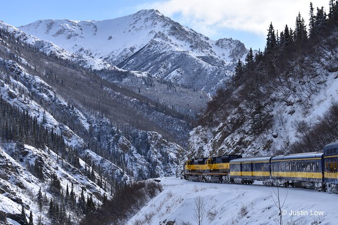 Alaska Railroad Aurora Winter Anchorage to Fairbanks One Way - Wildlife Viewing Opportunities