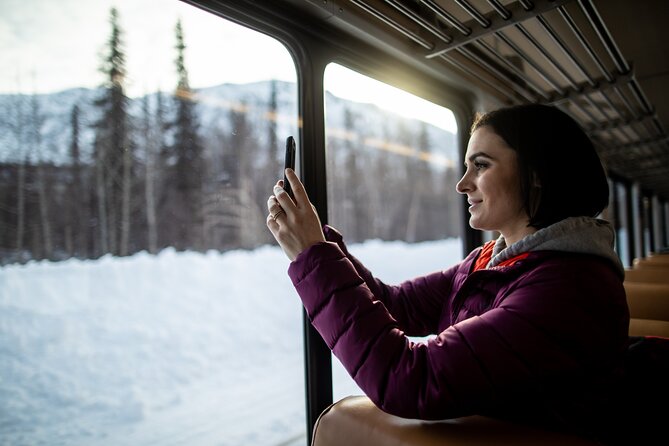 Alaska Railroad Aurora Winter Fairbanks to Anchorage One Way - Meeting and Pickup Details