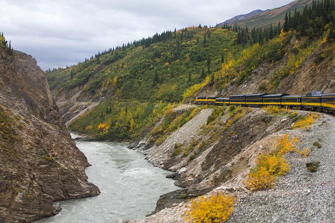 Alaska Railroad Denali to Anchorage One Way - Accessibility and Policies