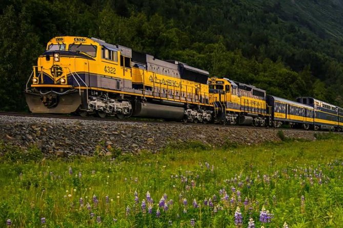 Alaska Railroad Denali to Anchorage One Way - Optional Dining and Snacks