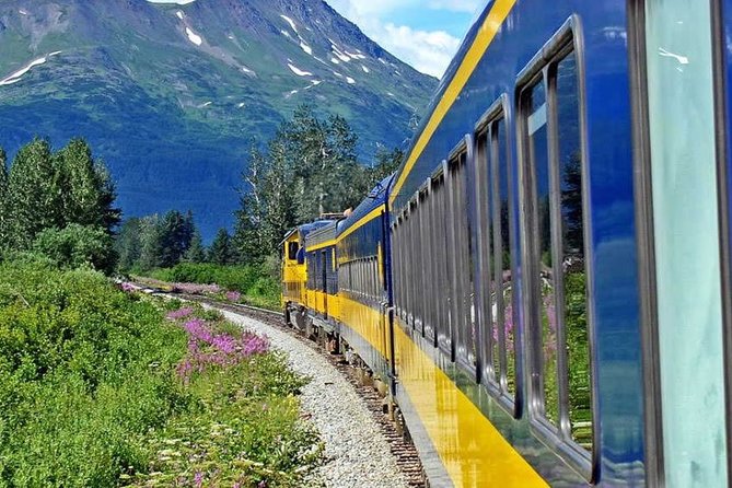 Alaska Railroad Denali to Anchorage One Way - Experienced Alaskan Tour Guide