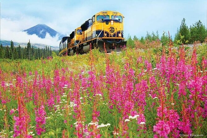 Alaska Railroad Fairbanks to Denali One Way - Onboard Narration and History