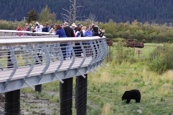 Alaska Wildlife Day Tour With Free Hotel Pickup - Learn About Alaska