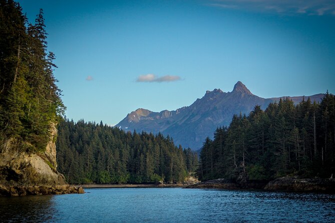 Alaska Wildlife Tour in Kachemak Bay - Traveler Ratings and Feedback