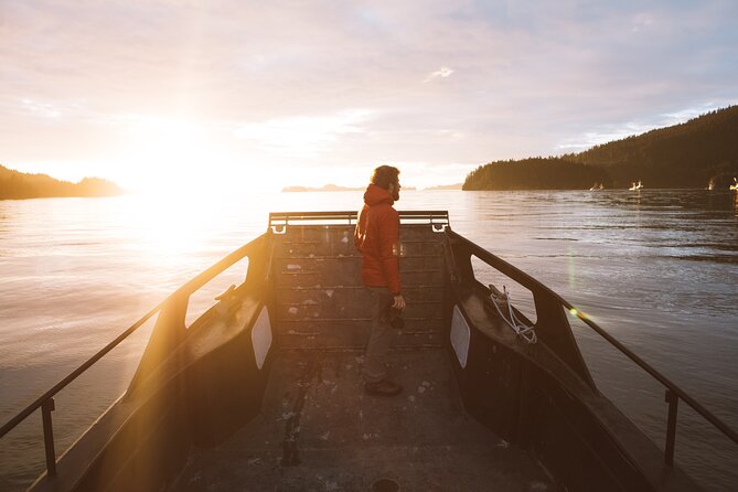 Alaska Wildlife Tour in Kachemak Bay - Accessibility and Special Considerations