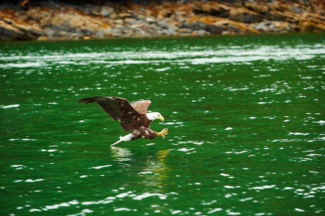 Alaskan Lodge Adventure and Seafeast - Exploring the Tongass National Forest