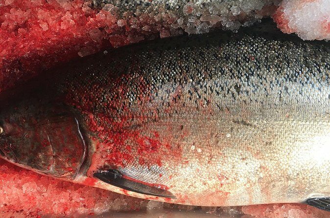 Alaskan Salmon Fishing with optional Adaptive Gear - The Sum Up