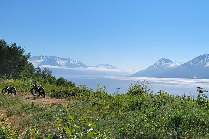 Alaskas Most Scenic E-Bike Adventure - Refueling With a Delightful Lunch