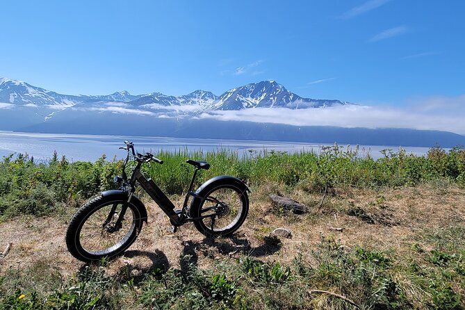Alaskas Most Scenic E-Bike Adventure - Safety Precautions and Considerations