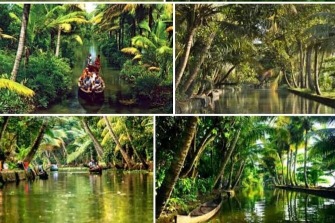 Alasr Lakeview Cruise /Hourly Trips to Backwater of Alleppey - Cruise Schedule and Timing