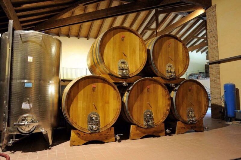 Alba: E-Bike Tour With Wine Tastin in Cellar - Key Points