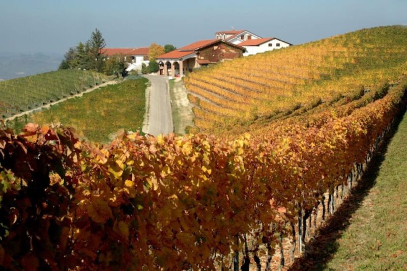 Alba: E-Bike Tour With Wine Tastin in Cellar - Meeting Point and Languages