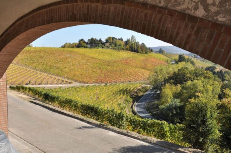 Alba: E-Bike Tour With Wine Tastin in Cellar - Scenic Views and Cycling