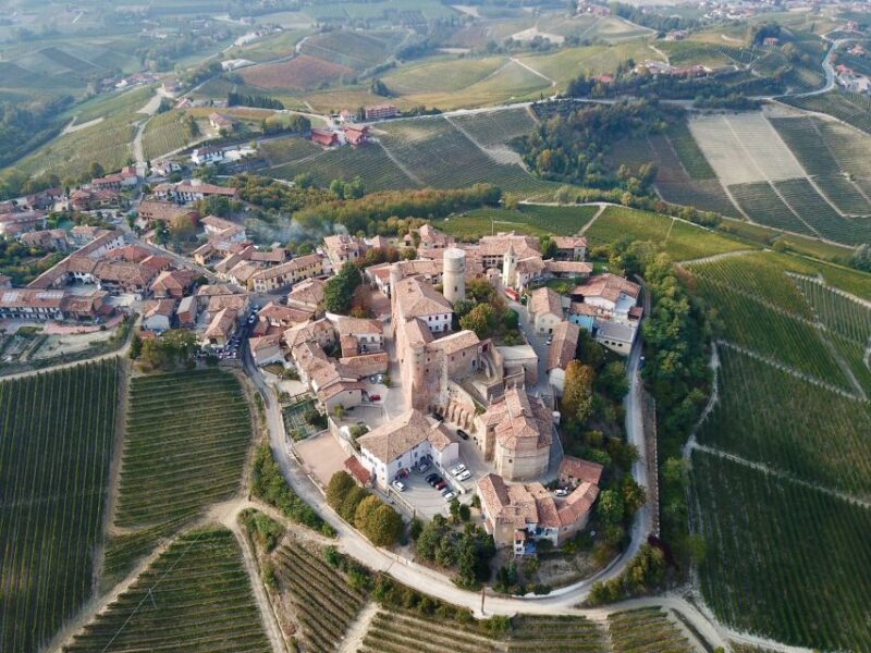 Alba: Truffle Hunting With Cheese, Truffle, & Wine Tastings - Key Points