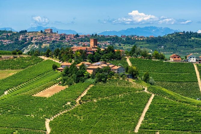 Alba Wine Tours, Private Tasting Experience Around Langhe Area. - Customizing Your Tasting Experience
