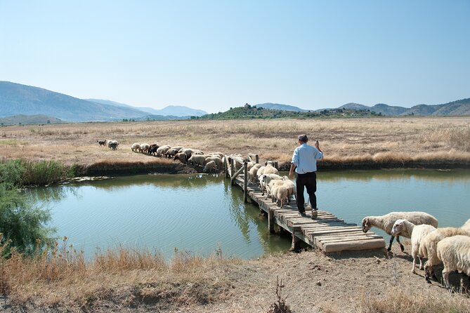 Albania - Butrint and Saranda or Blue Eye: Private Day Trip - Inclusions