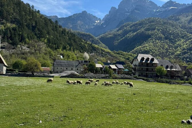 Albanian Alps and Theth Village Day Tour From Tirana W/ Lunch - What to Expect