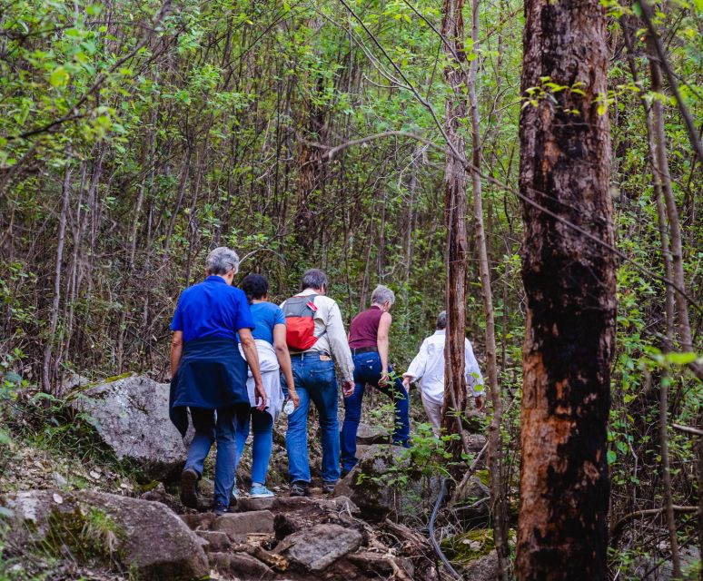 Albany: Guided Granite Skywalk in Porongurup National Park - Fitness and Accessibility Information