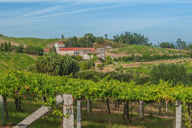 Albariño Private Wine Tour From Santiago De Compostela - Traveler Reviews