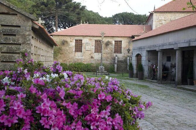 Albariño Private Wine Tour in Rias Baixas - Tasting the Albariño Wines