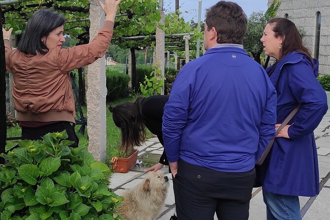 Albariño Private Wine Tour in Rias Baixas - Flexible Pickup and Start Time