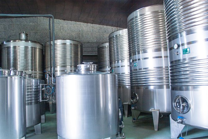 Albariño Trails Private Wine Tour/Shore Excursion From Vigo - Visit to Local Wineries