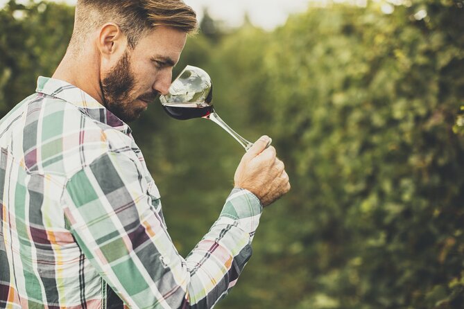 Albariño Wine Tasting With Winery Tour - Important Information