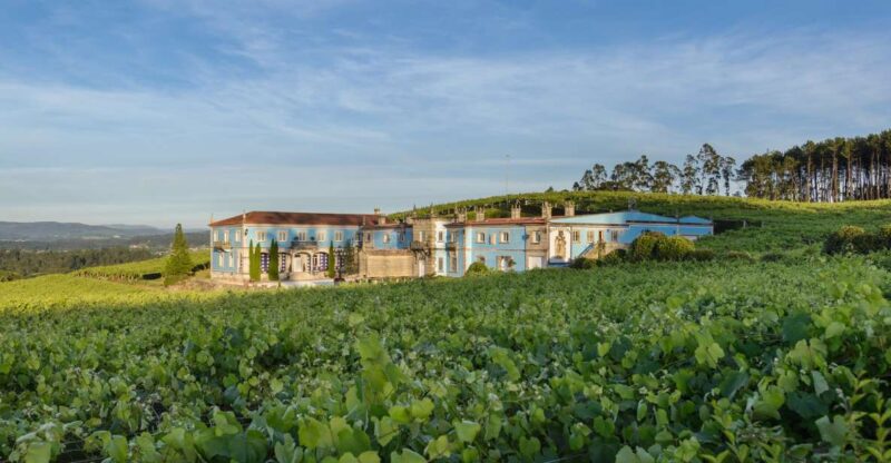 Albariño Wine Tasting With Winery Tour - Key Points