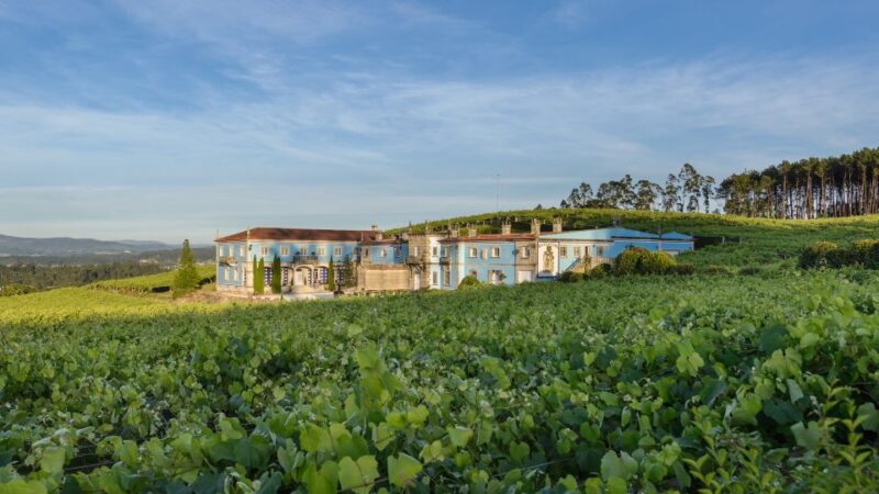 Albariño Wine Tasting With Winery Tour - Booking Details
