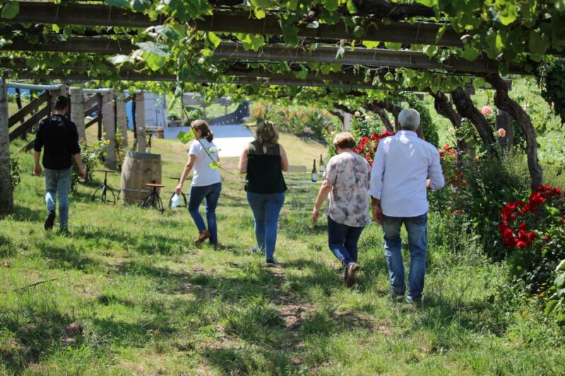 Albariño Wine Tasting With Winery Tour - Viticulture Origins