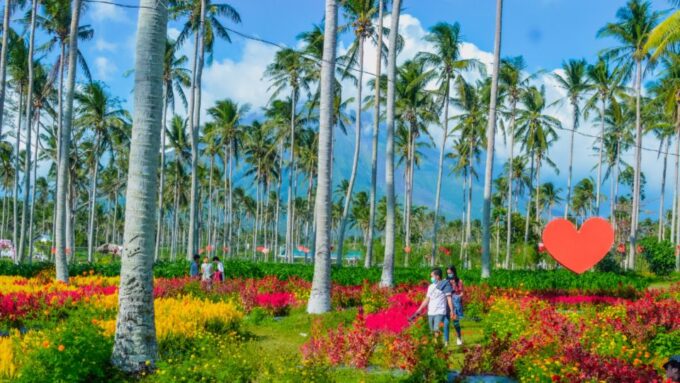 Albay Philippines: Cagsawa Ruins Express Tour - El Miro De Shei Integrated Farm