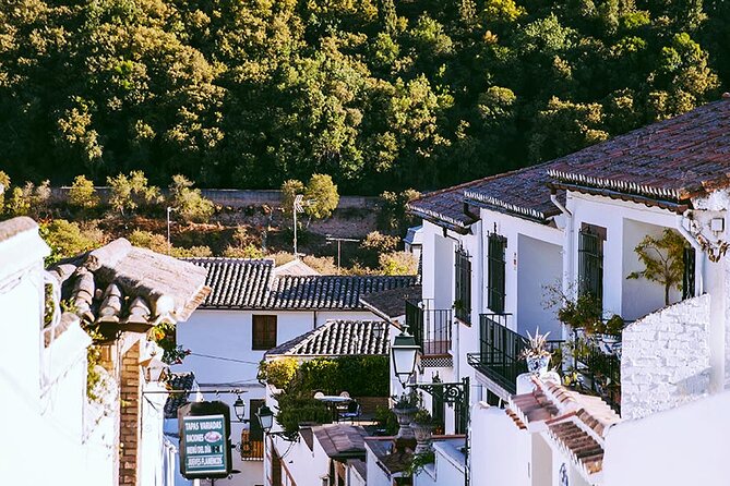 Albayzin and Sacromonte Guided Walking Tour in Granada - Panoramic Views