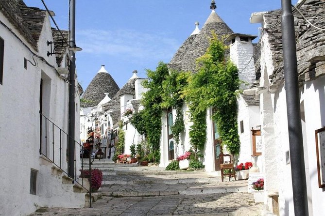 Alberobello and Polignano Private Walking Tour - Historic Center of Polignano
