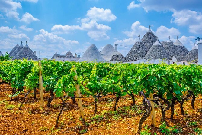 Alberobello and Wine & Food Tasting Private Tour - Savoring Local Apulian Wines