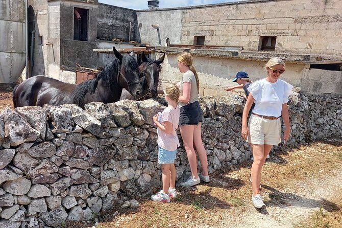 Alberobello by E-Bike. Trulli, Countryside, Mill, and Donkeys - Tasting Apulian Focaccia